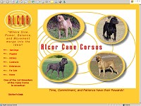 Alcor Cane Corsos
