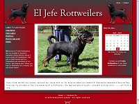 El Jeffe Rottweilers
