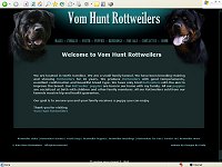 Deer Run Great Danes / Under Construction